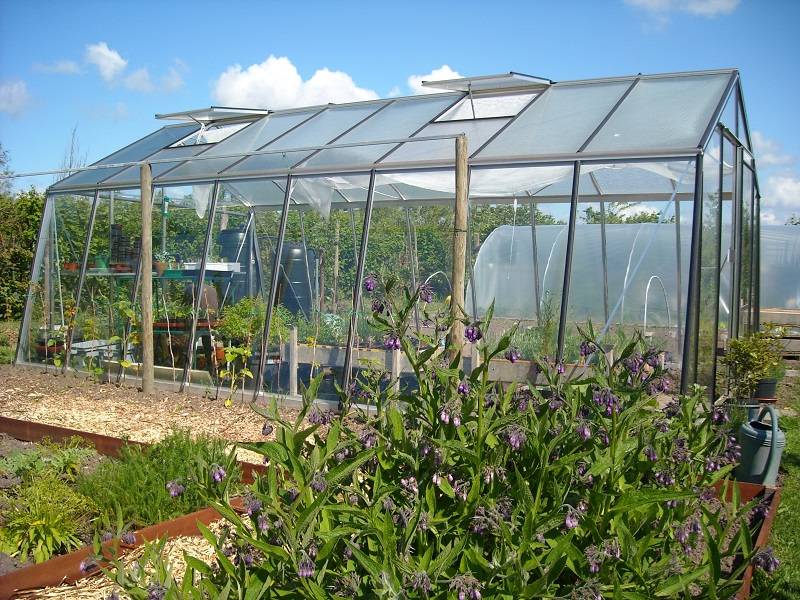 ACD Pro - Serre de jardin verre trempé aluminium brut 22,53 m² Prestige S208H Aluline avec embase - ACD Pro