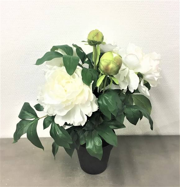 Kalyste - Kalyste - Fleur artificielle pivoine blanc crème en pot L.43 cm - Image 1