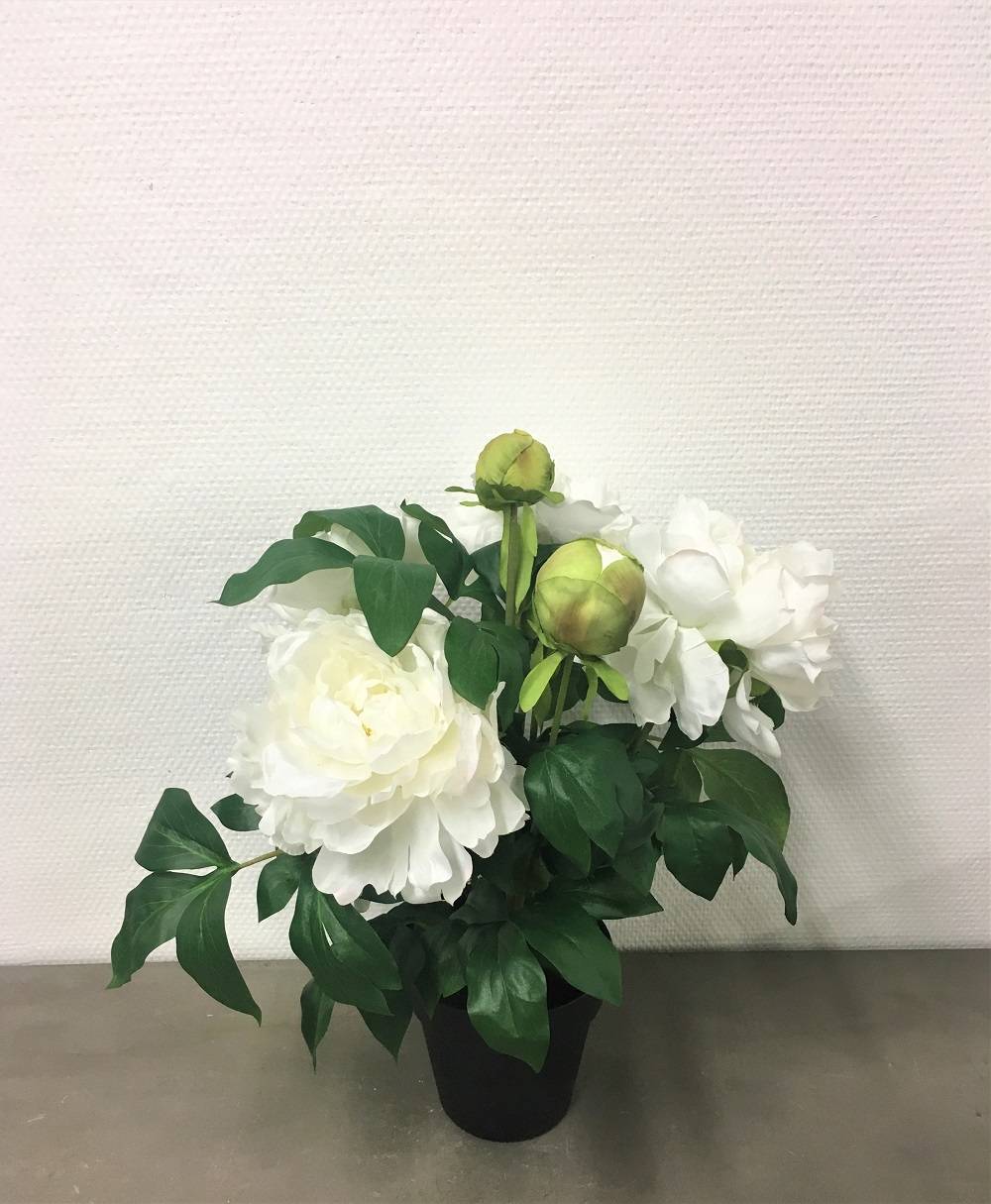 Kalyste - Kalyste - Fleur artificielle pivoine blanc crème en pot L.43 cm - Image 3