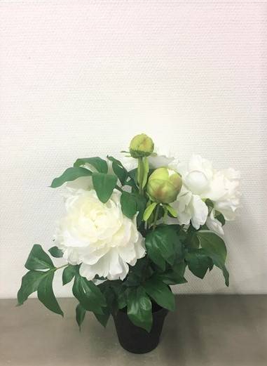 Kalyste - Kalyste - Fleur artificielle pivoine blanc crème en pot L.43 cm - Image 2