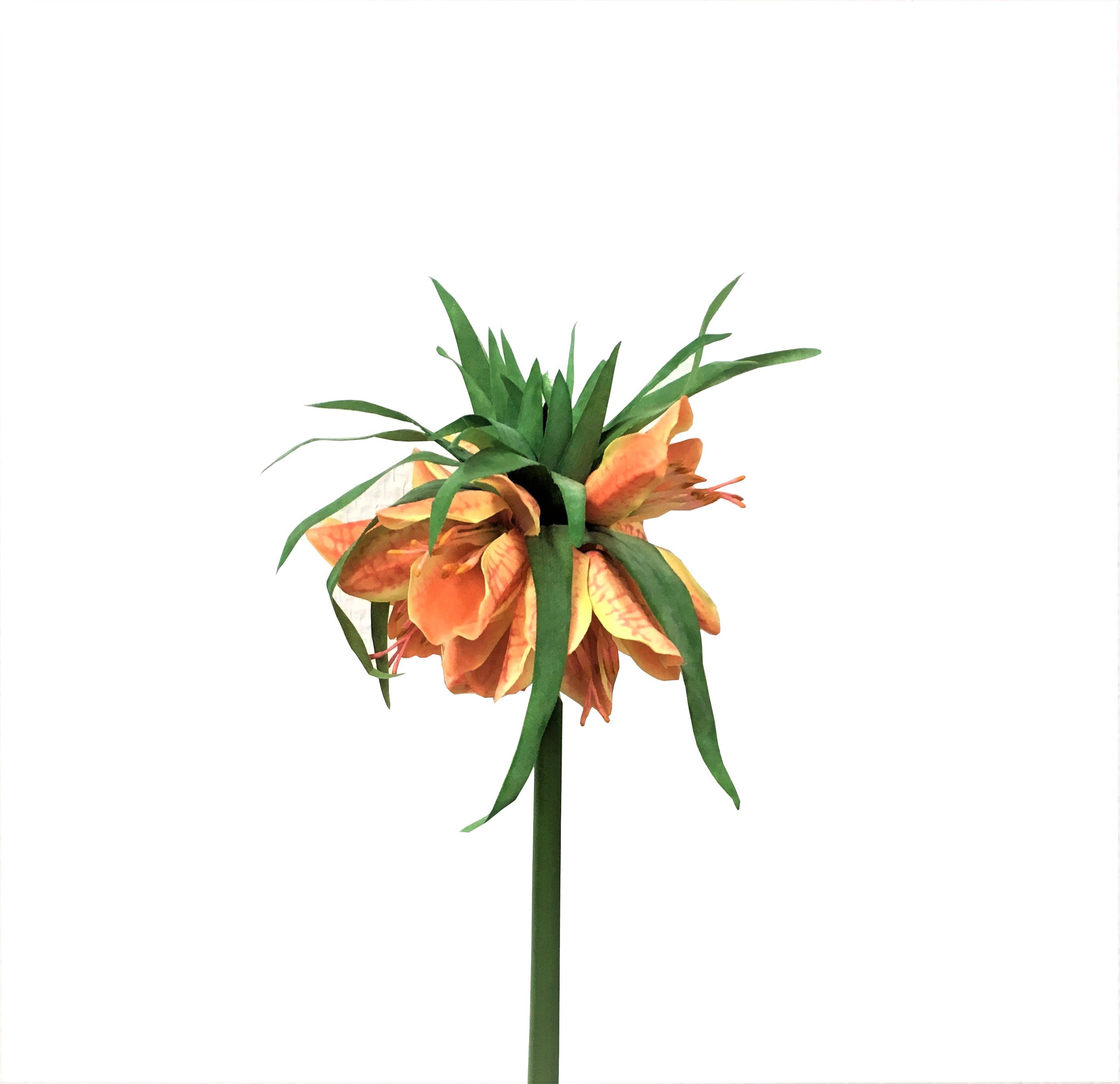 Kalyste - Kalyste - Tige de fritillaire artificielle - l.15 x H.50 cm