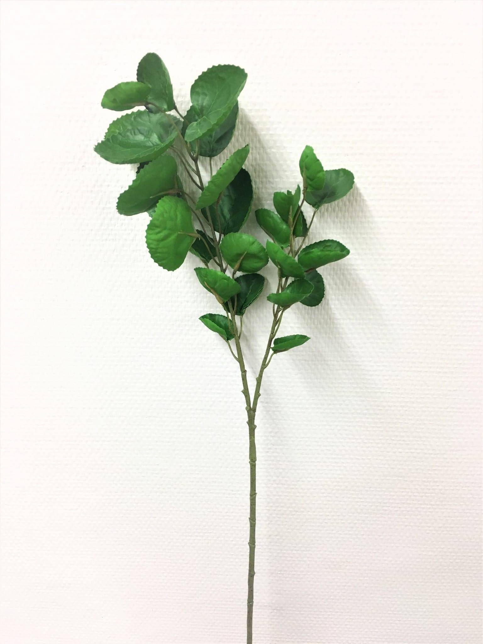 NONAME - Tige peperomia vert artificiel 77 cm