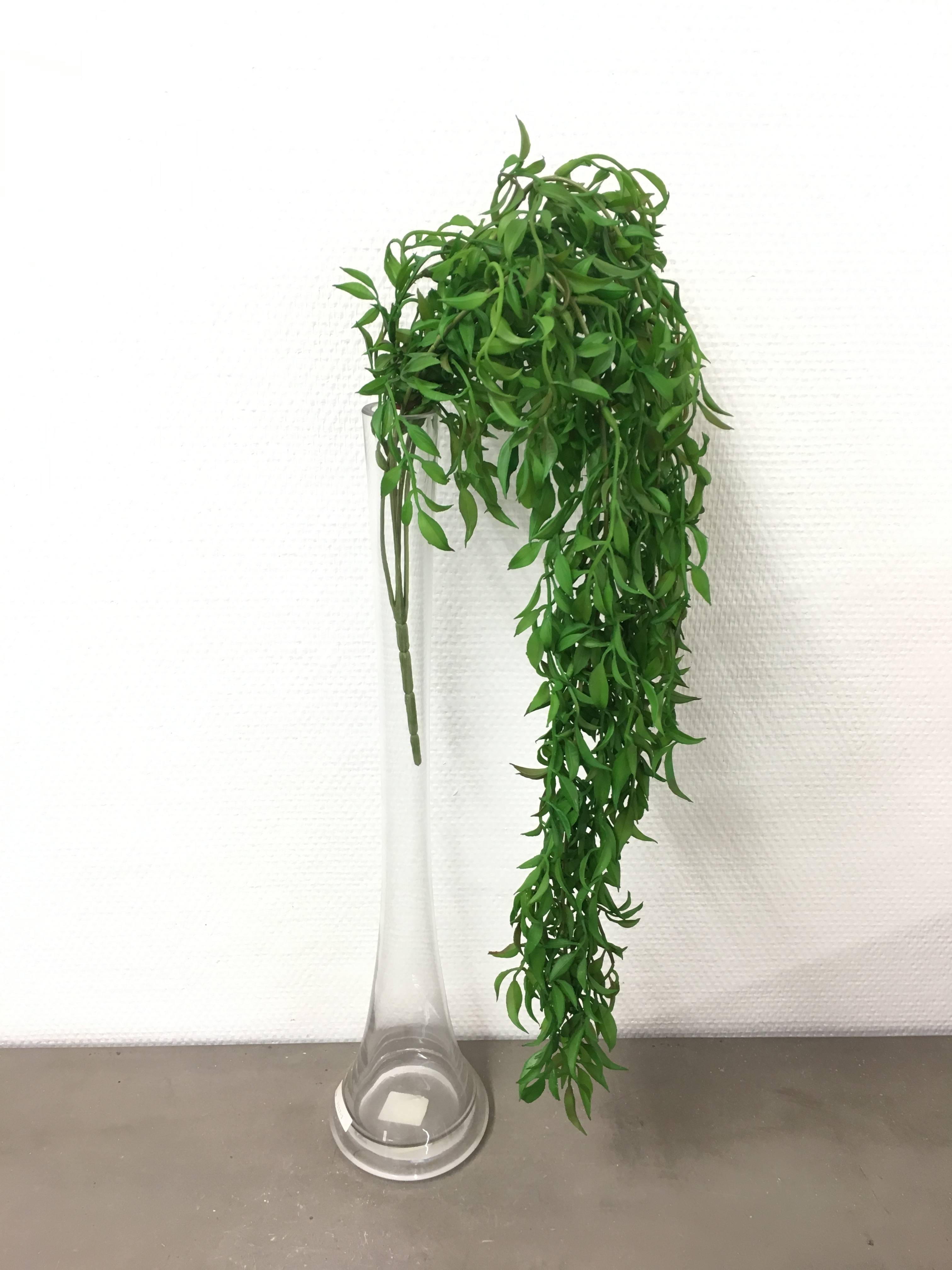 Chute achynanthe verte artificielle 84 cm