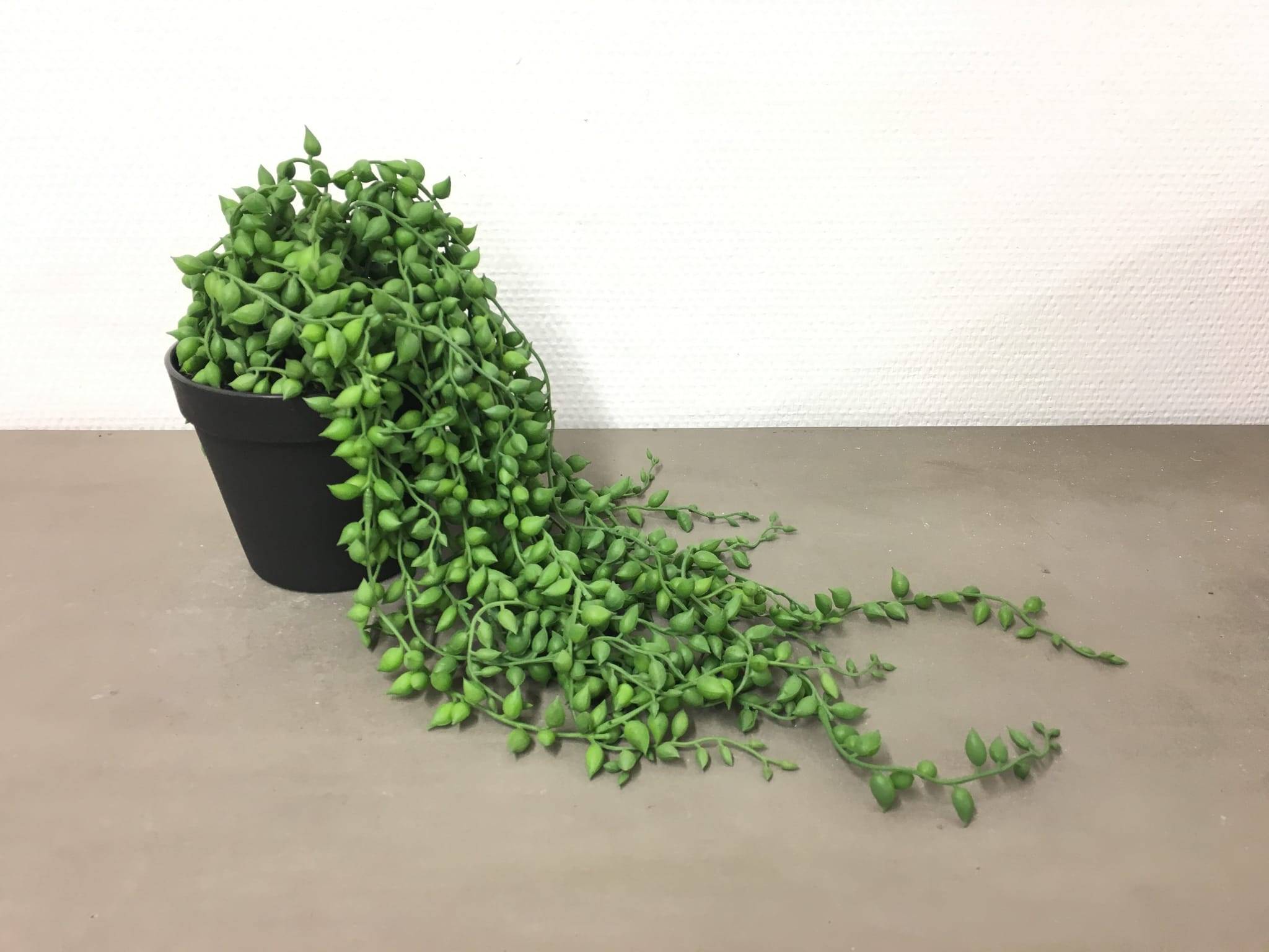 Senecio vert artificiel en pot 57 cm