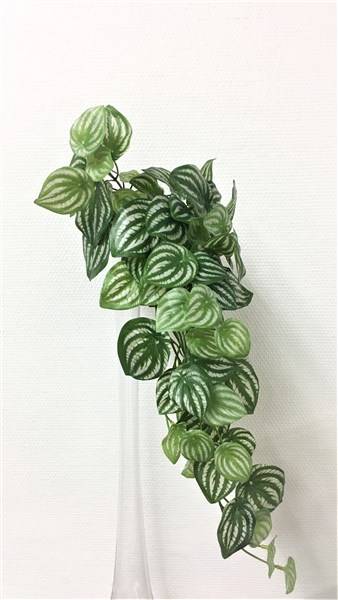 Kalyste - Kalyste - Chute de peperomia artificiel - l.20 x H.72 cm