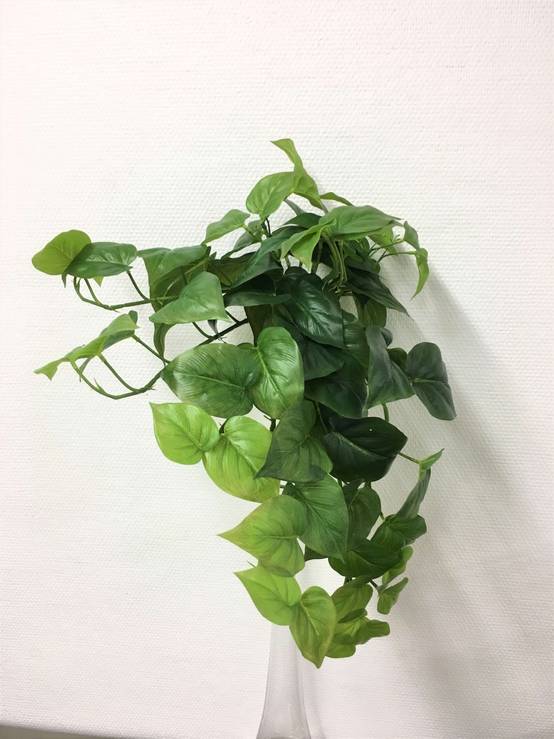 Kalyste - Kalyste - Chute philodendron artificielle H.54 cm - Image 2