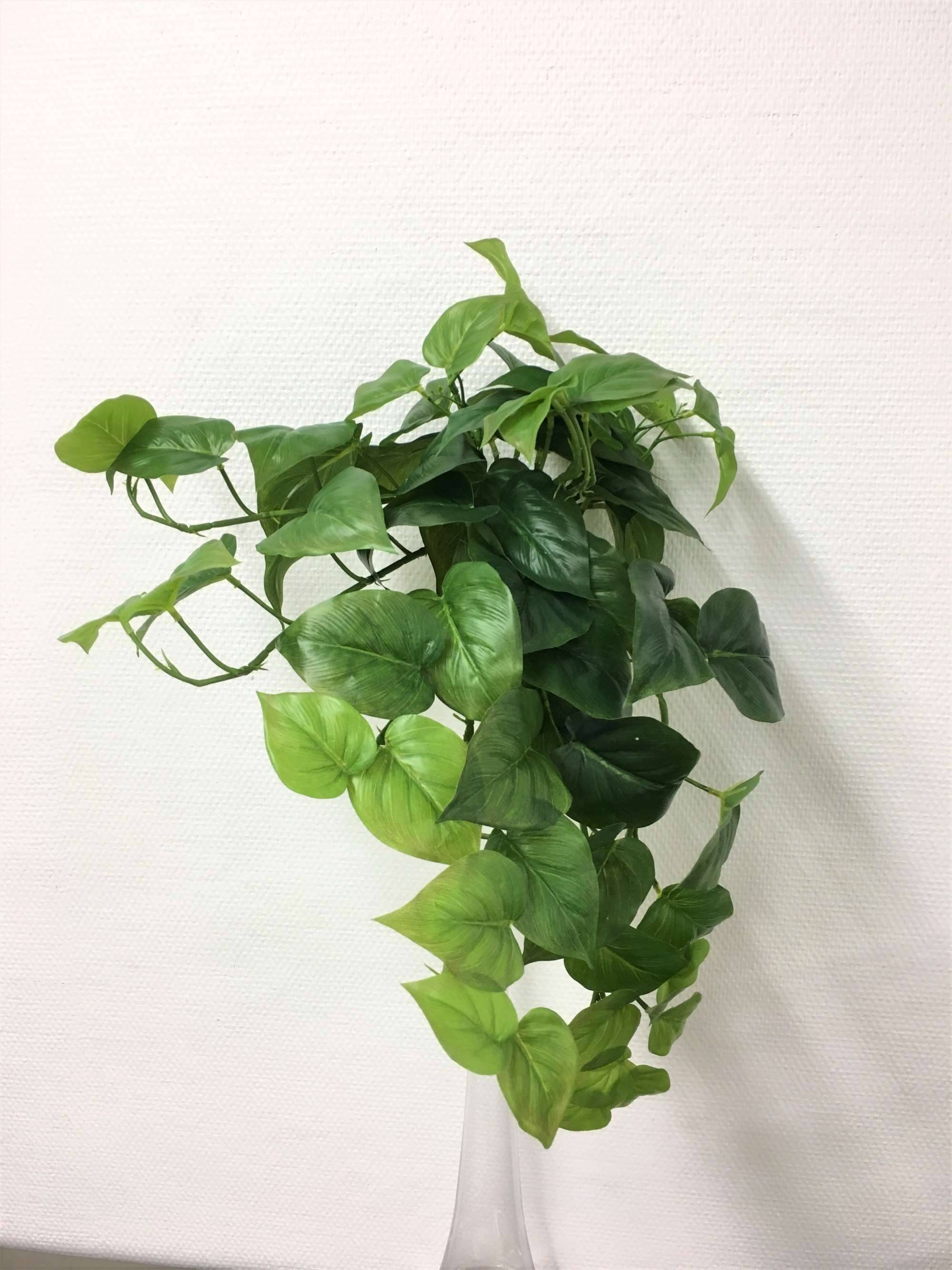Kalyste - Kalyste - Chute philodendron artificielle H.54 cm - Imagen 2