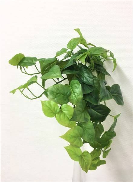 Kalyste - Kalyste - Chute philodendron artificielle H.54 cm