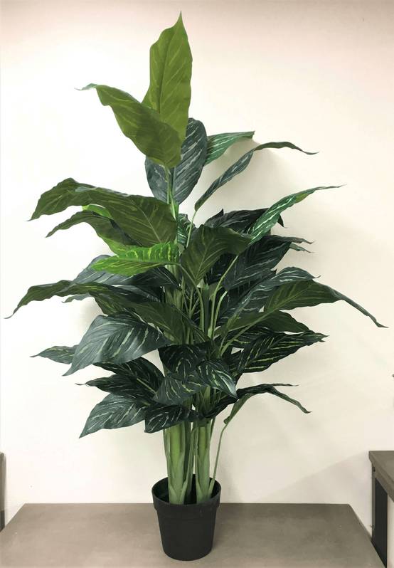 Kalyste - Kalyste - Calathea artificiel en pot L.120 cm - Image 1