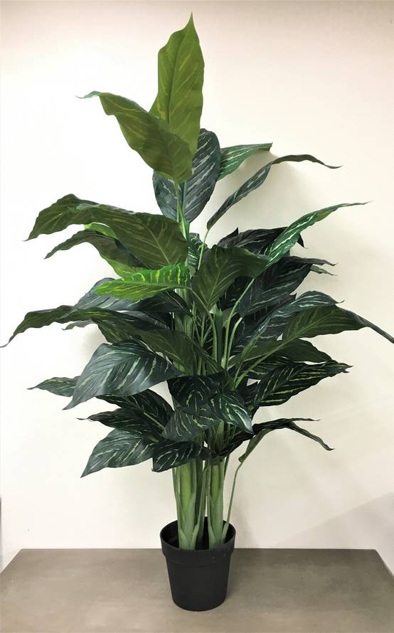 Kalyste - Kalyste - Calathea artificiel en pot L.120 cm - Image 2