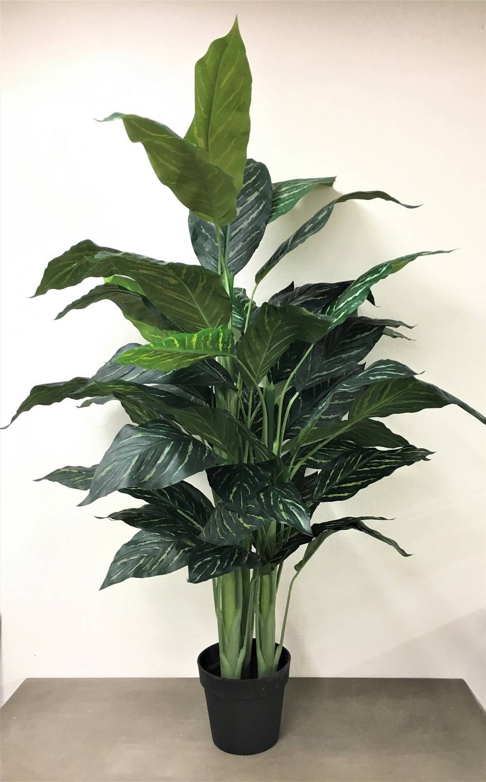 Kalyste - Kalyste - Calathea artificiel en pot L.120 cm - Image 2