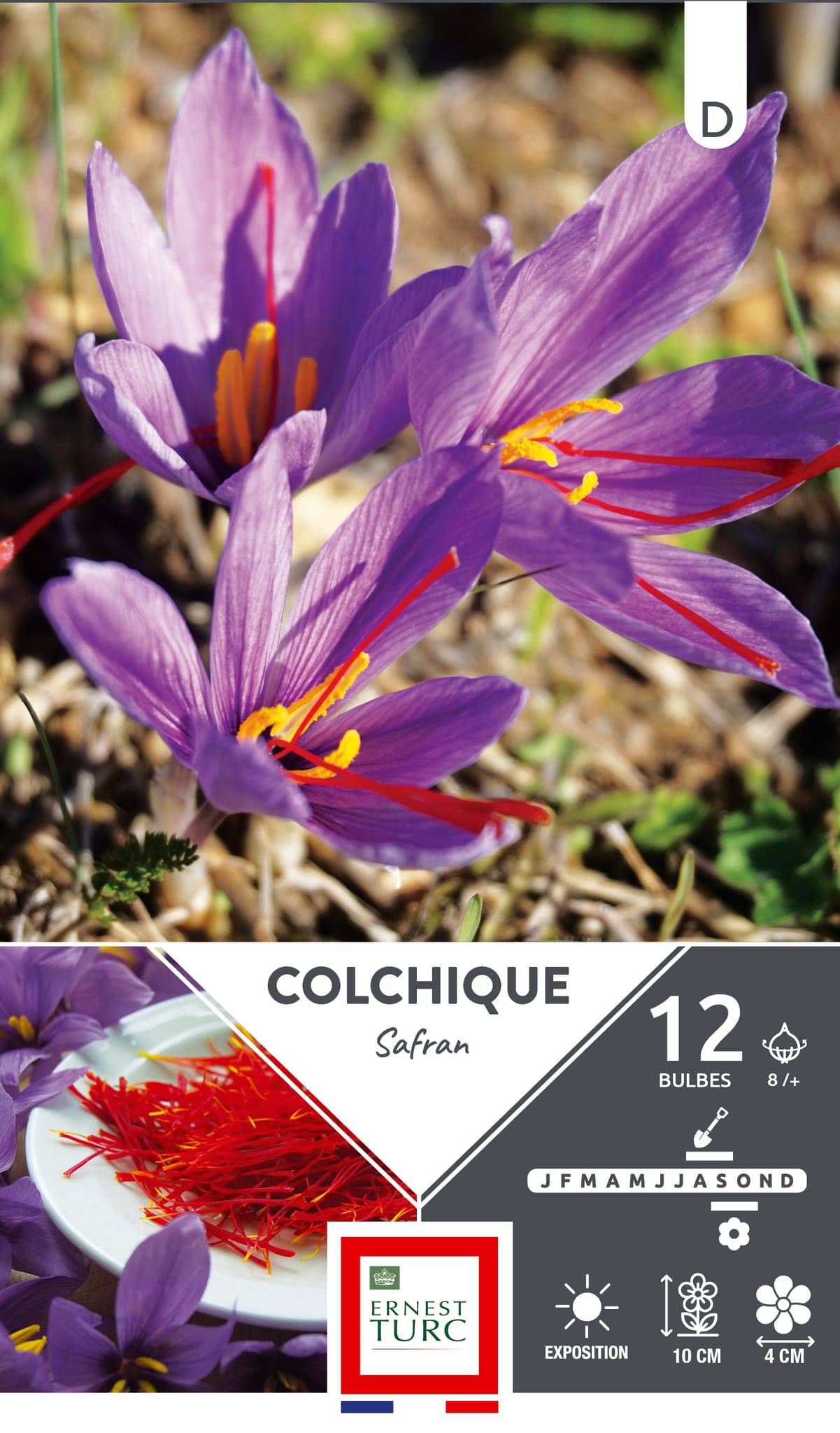 Ernest Turc - Bulbes de crocus sativus Safran - ERNEST TURC - Image 1