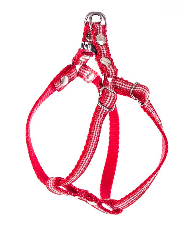 Smooz - Smooz - Harnais Vichy rouge pour chien taille XS - Image 1