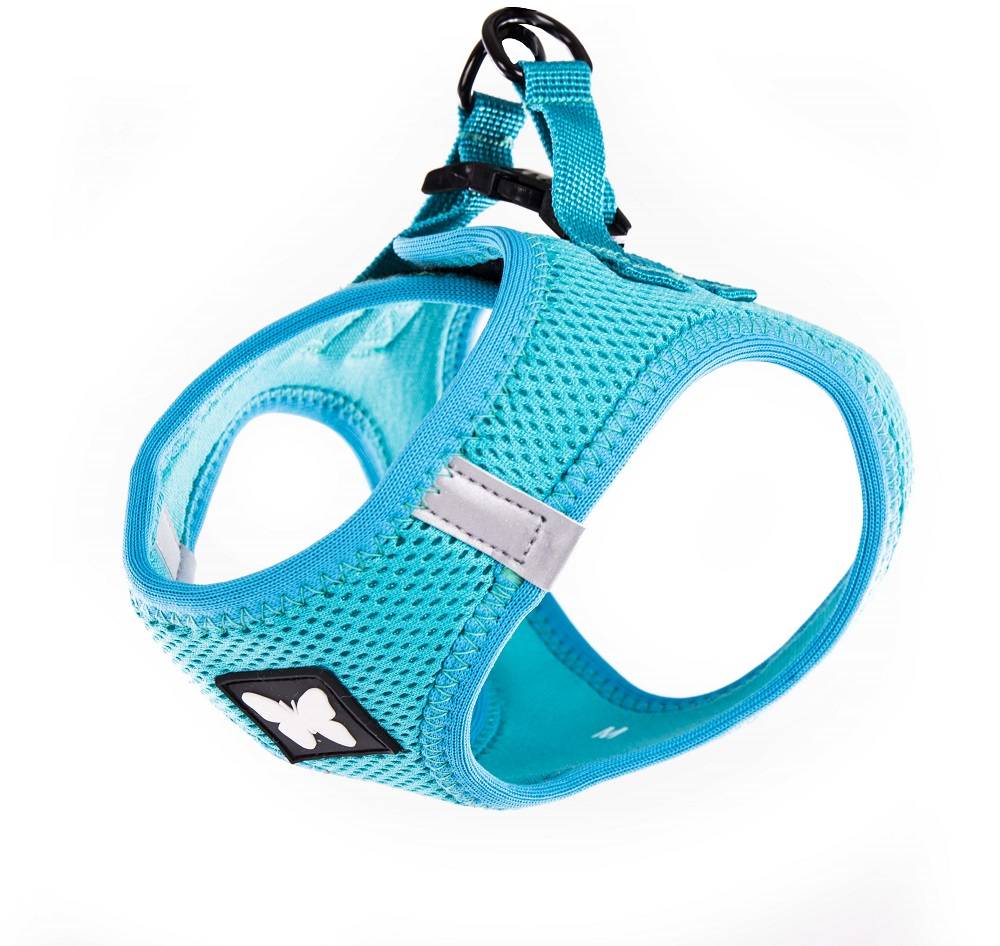 Martin Sellier - Harnais Pour Chien Mesh Turquoise – MARTIN SELLIER