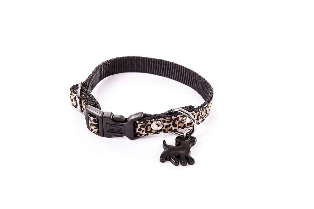 Smooz - Smooz - Collier wild chien avec pendentif chien L.25 cm Taille S - Image 1