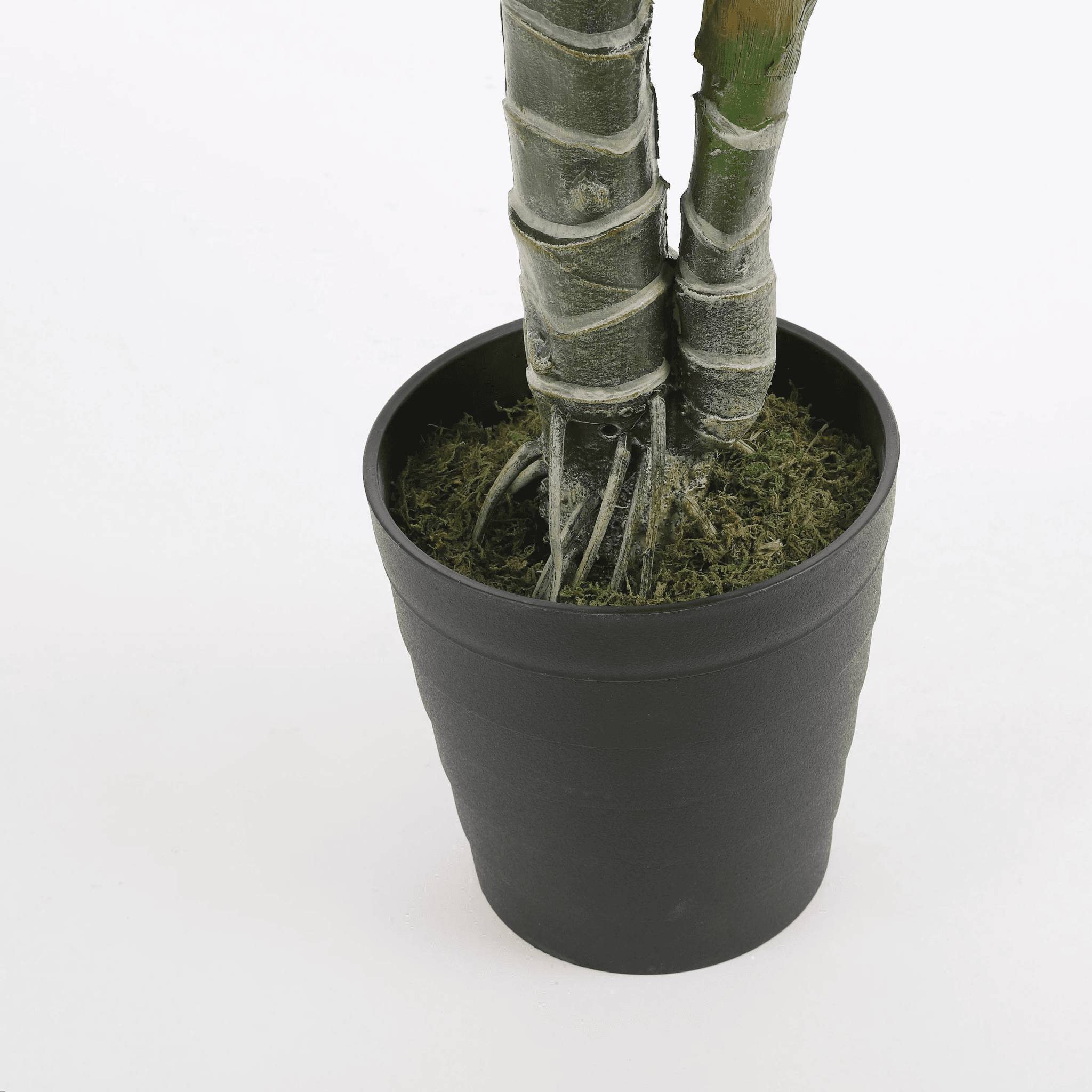 Monstera en Pot - MICA DECORATIONS - Image 5