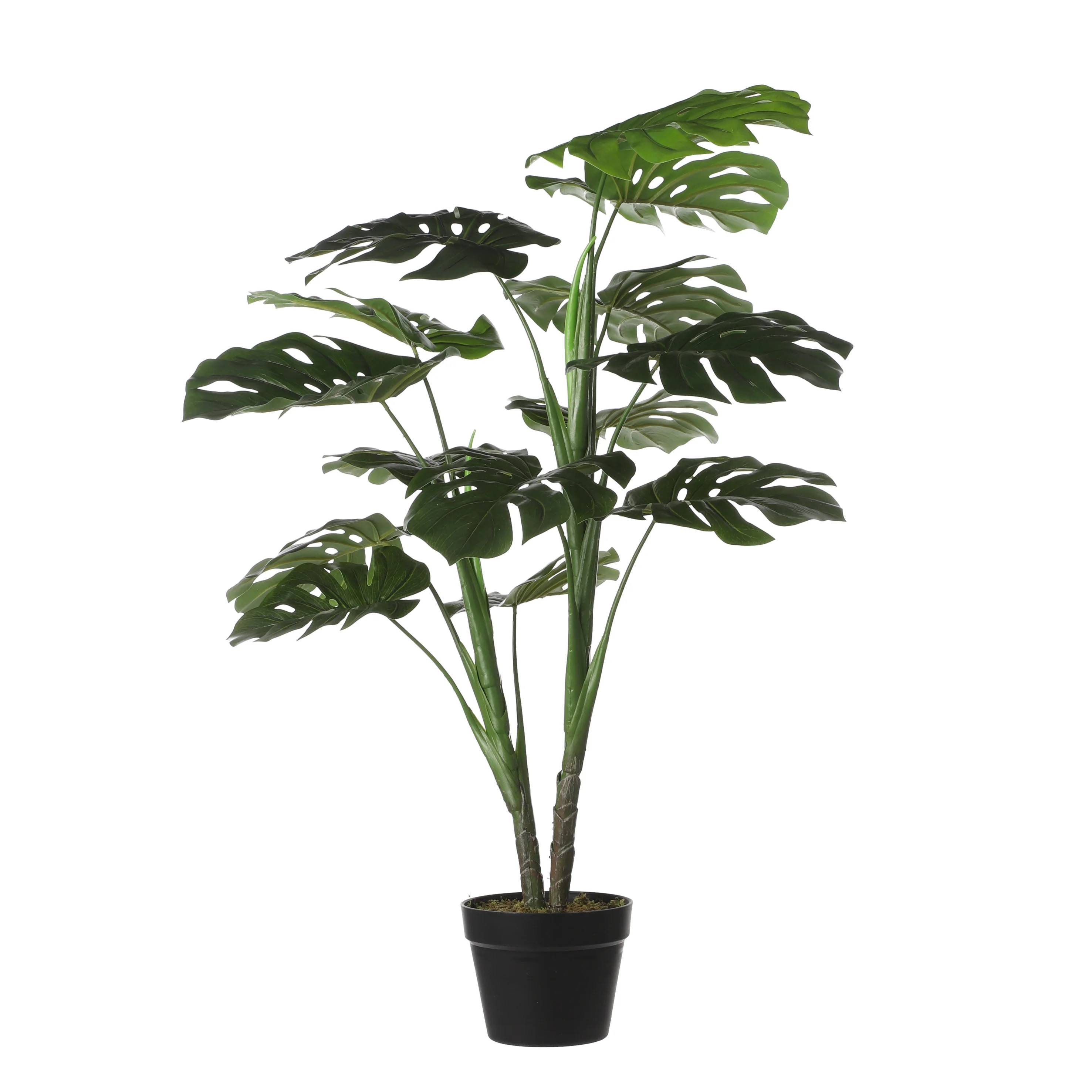 Monstera en Pot - MICA DECORATIONS - Image 6