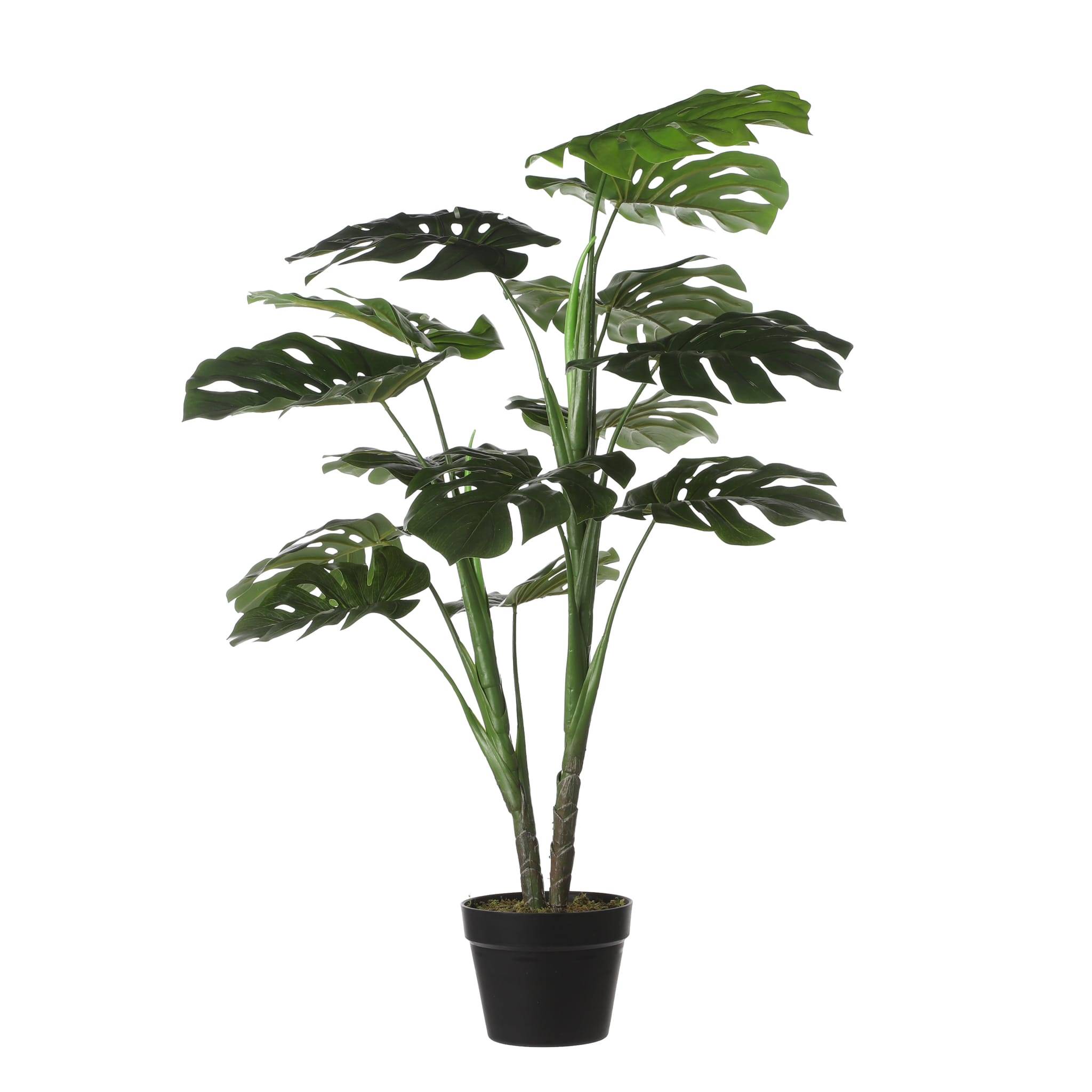 Monstera en Pot - MICA DECORATIONS - Image 1