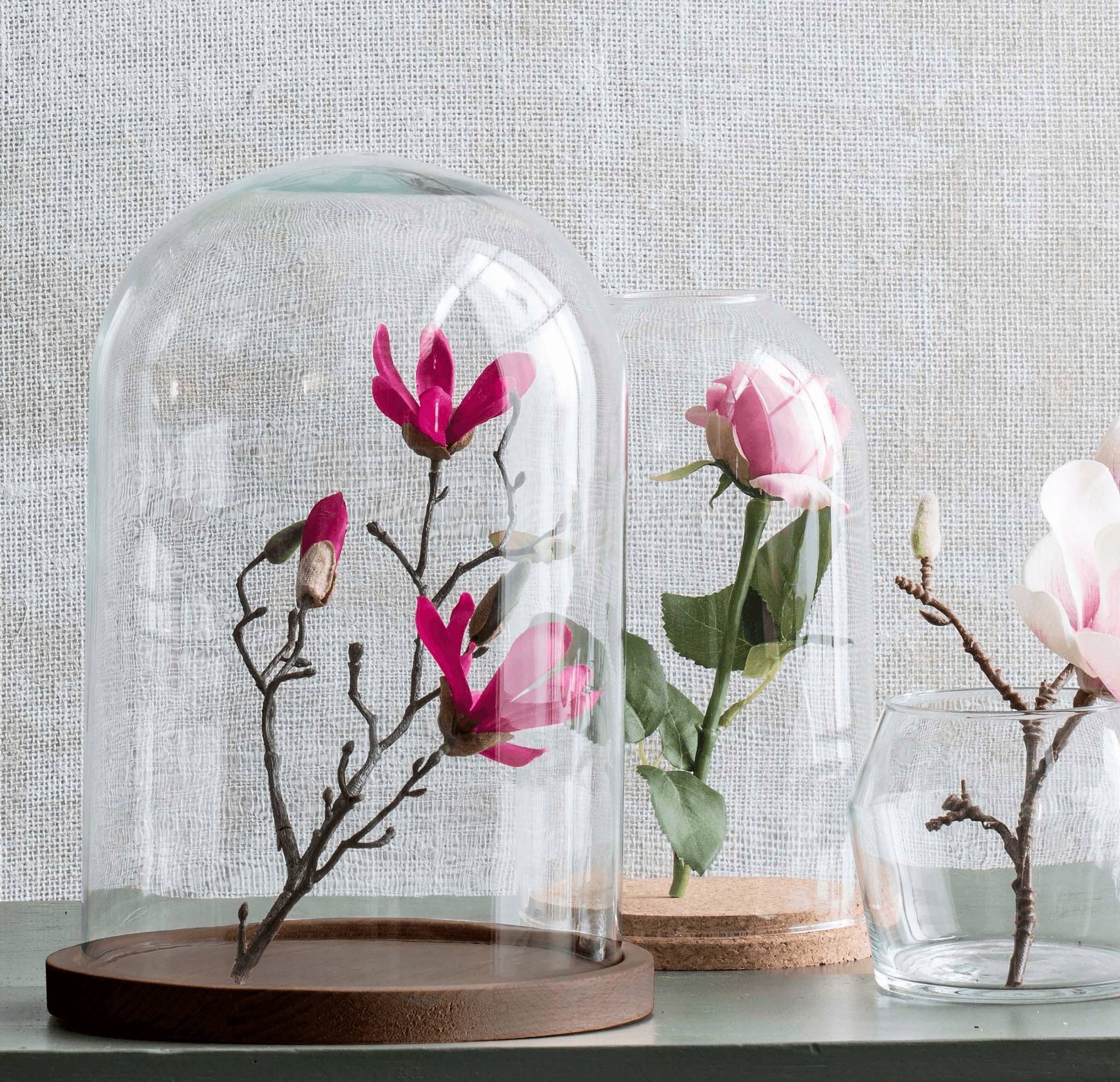 Cloche en Verre - Plus de 50 Modèles Disponibles