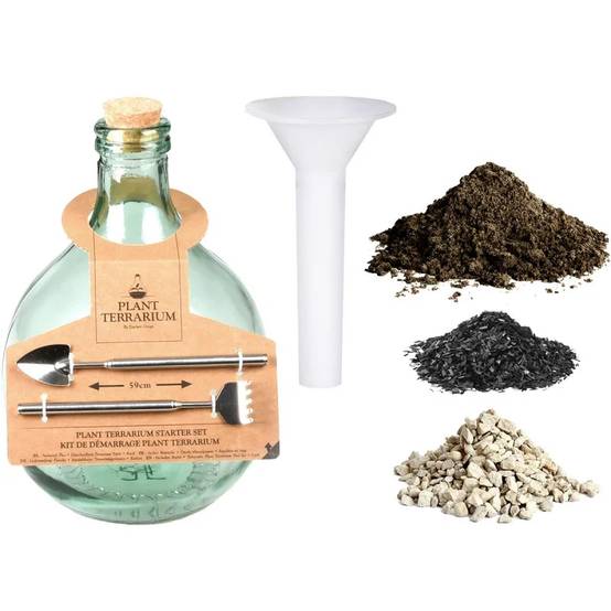 Kit Terrarium Plantes DIY Complet Bouteille Verre Recyclé Transparent 5L - Image 3