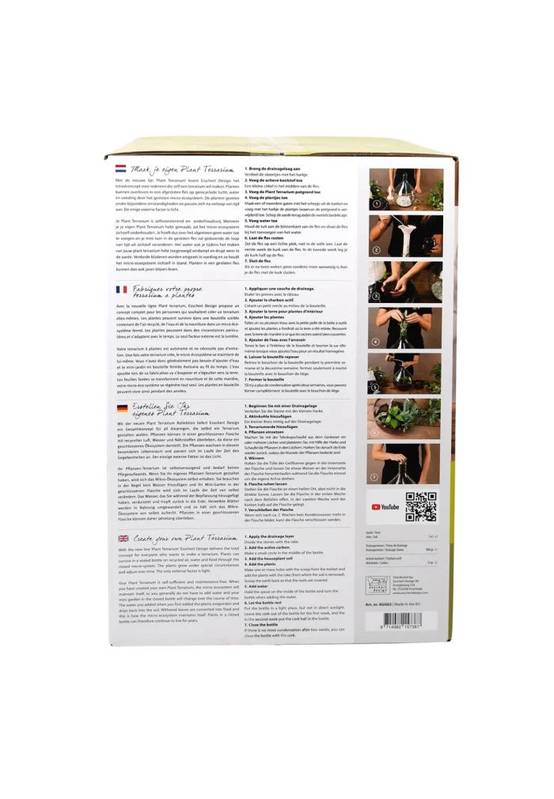 Kit Terrarium Plantes DIY Complet Bouteille Verre Recyclé Transparent 5L - Image 2