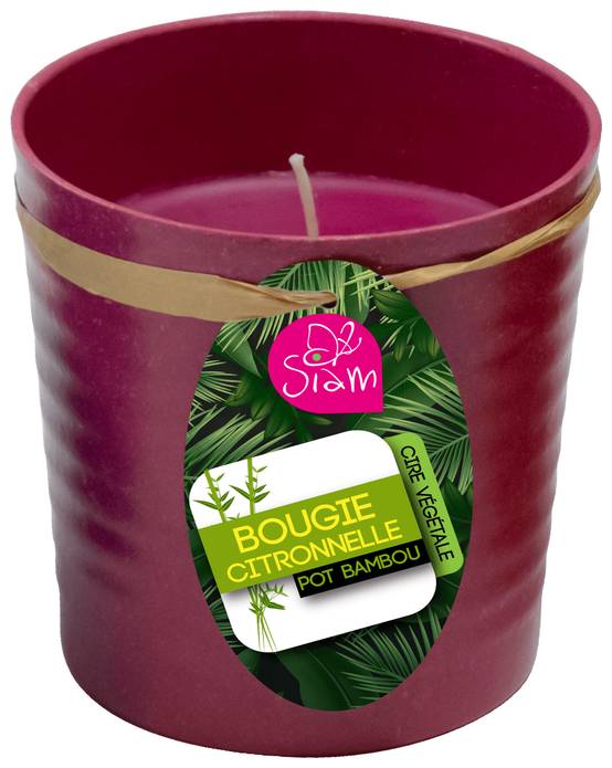 BOUGIE CITRONNELLE POT ECO