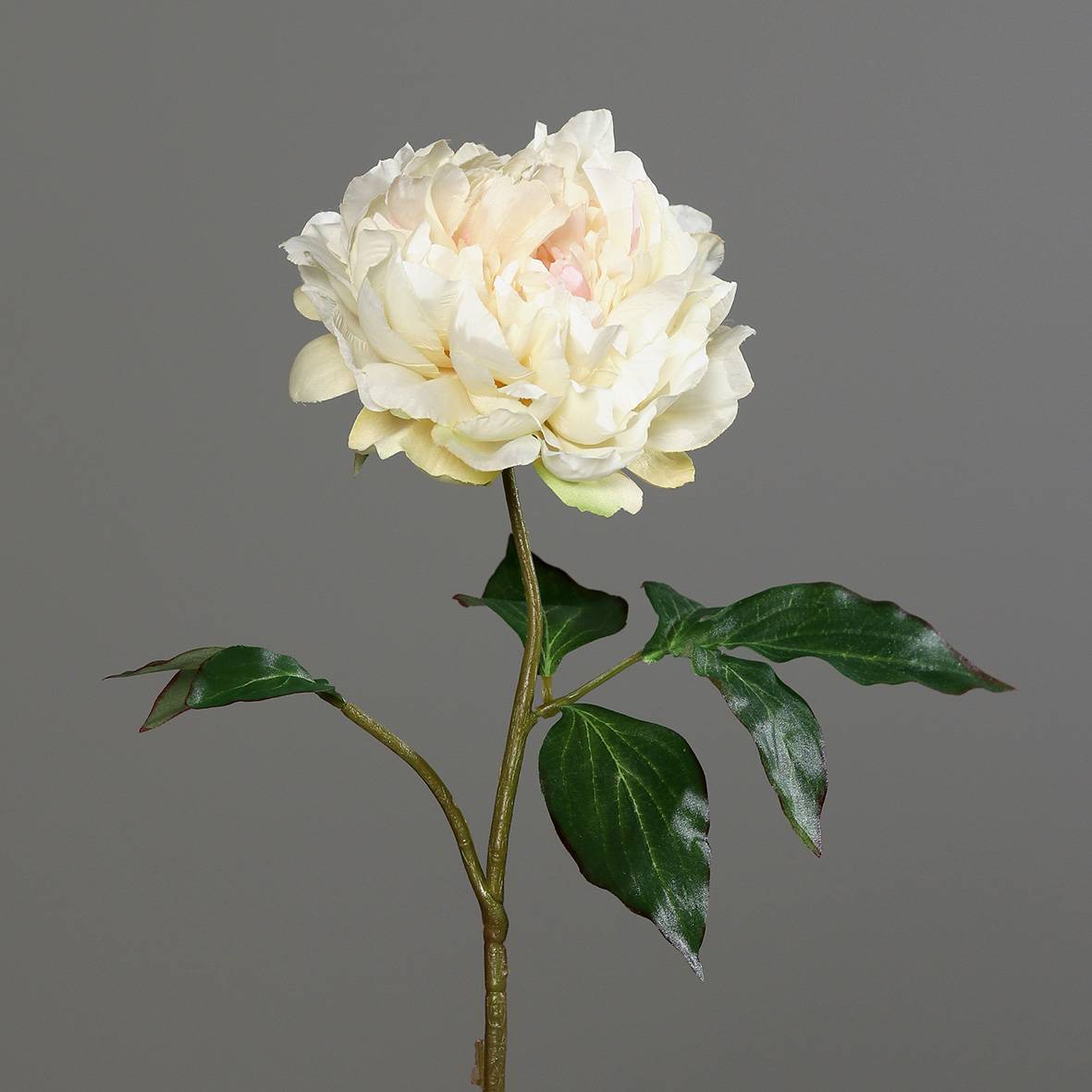 DPI - Tige pivoine crème artificielle H.56 cm