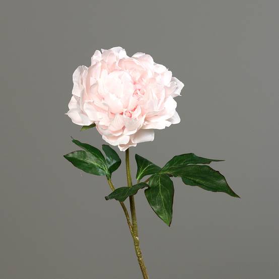 DPI - Tige pivoine rose clair artificielle H.56 cm