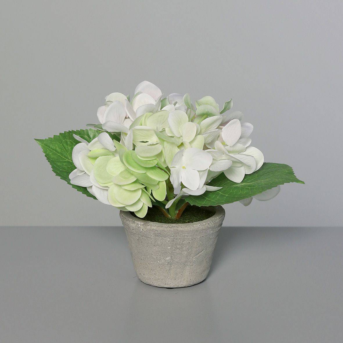 DPI - Hortensia crème artificiel en pot béton H.16 cm