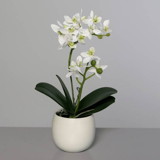 DPI - Orchidée blanc vert artificielle en pot céramique H.34 cm