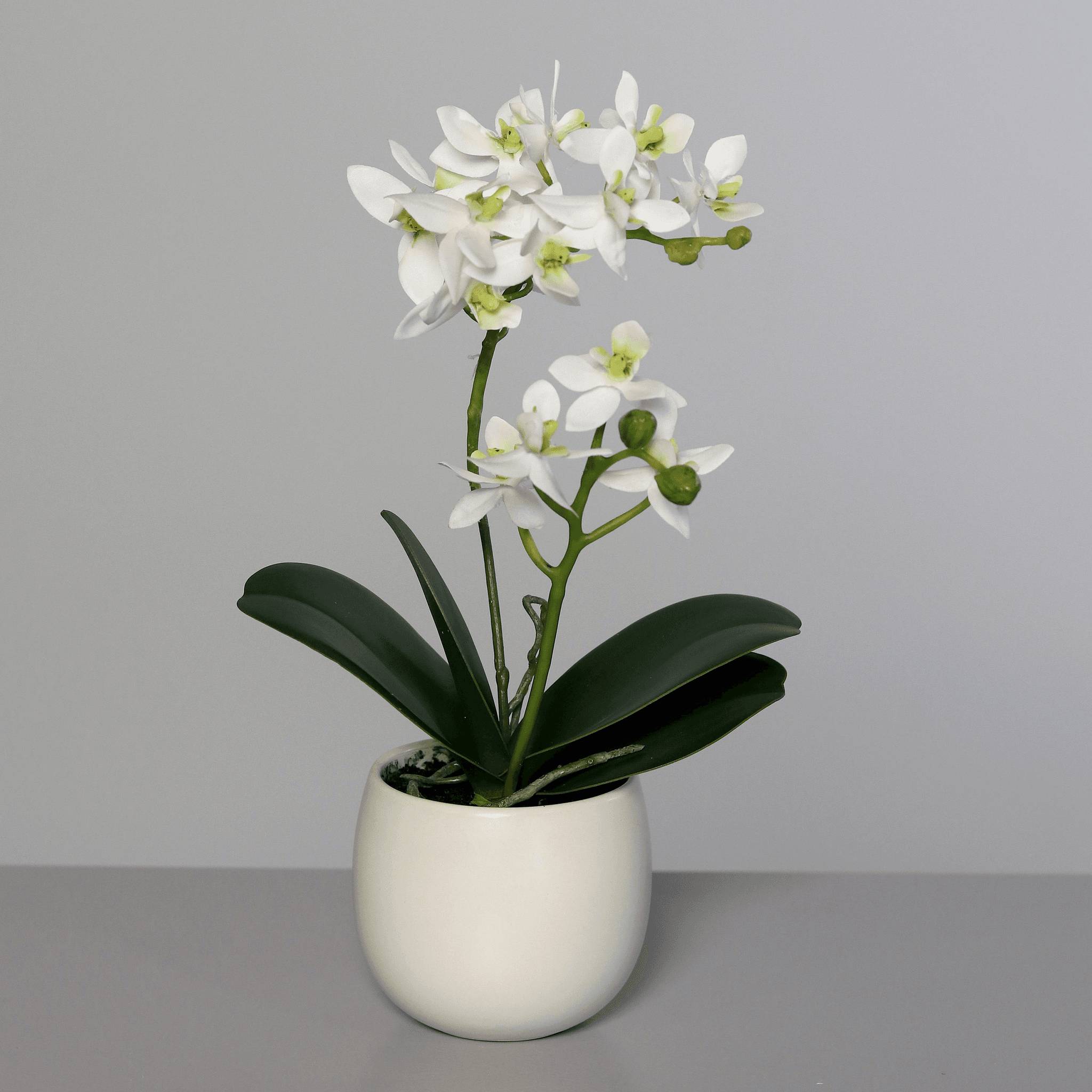 DPI - Orchidée blanc vert artificielle en pot céramique H.34 cm