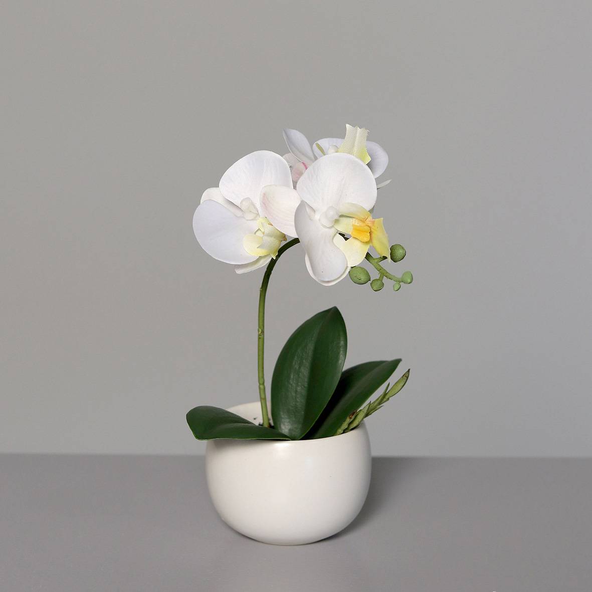 DPI - DPI - Orchidée artificielle crème coupe céramique blanch. H.16 cm