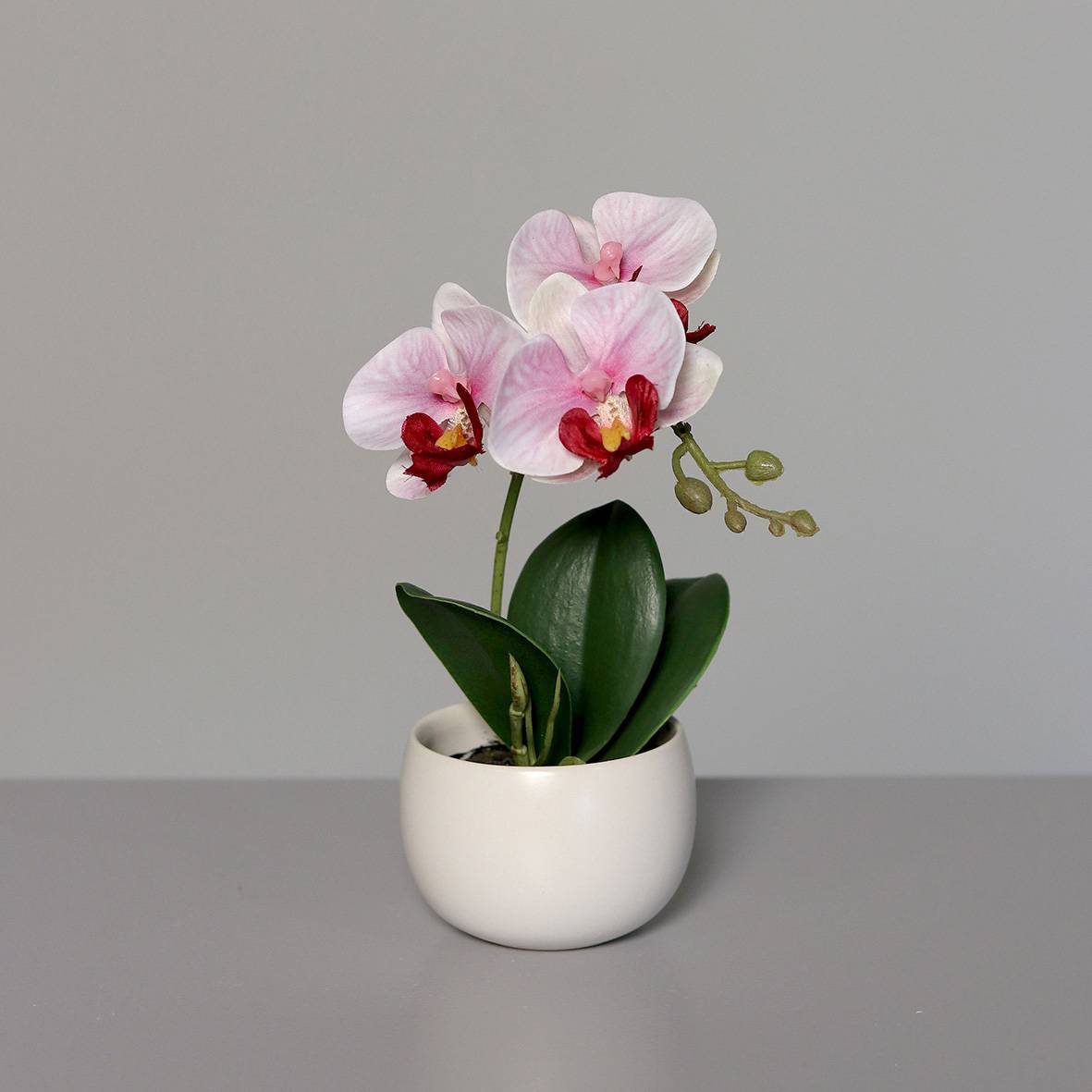 DPI - DPI - Orchidée artificielle rose coupe céramique blanch. H.16 cm