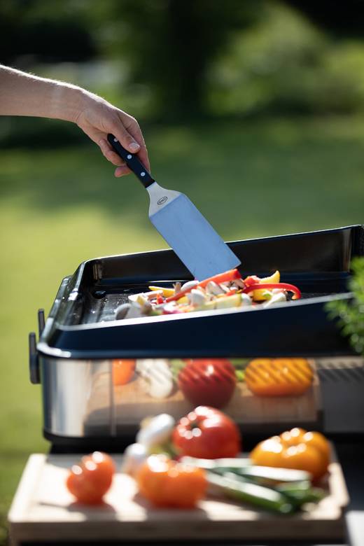 Eno - Eno - Plancha enosign gaz 65 inox capot L.66 x l.57 x H.24 cm - Imagen 6