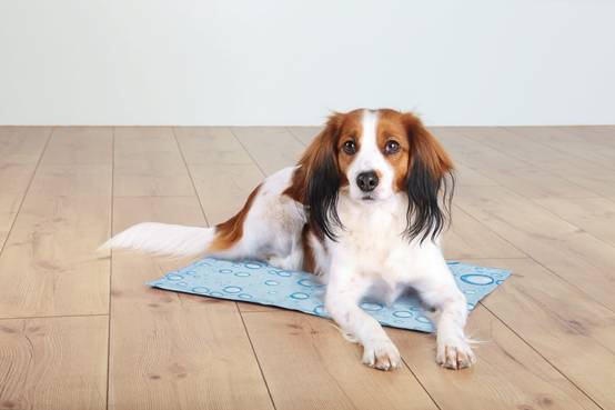 Trixie - Matelas Rafraîchissant Pour Chien – TRIXIE - Image 11