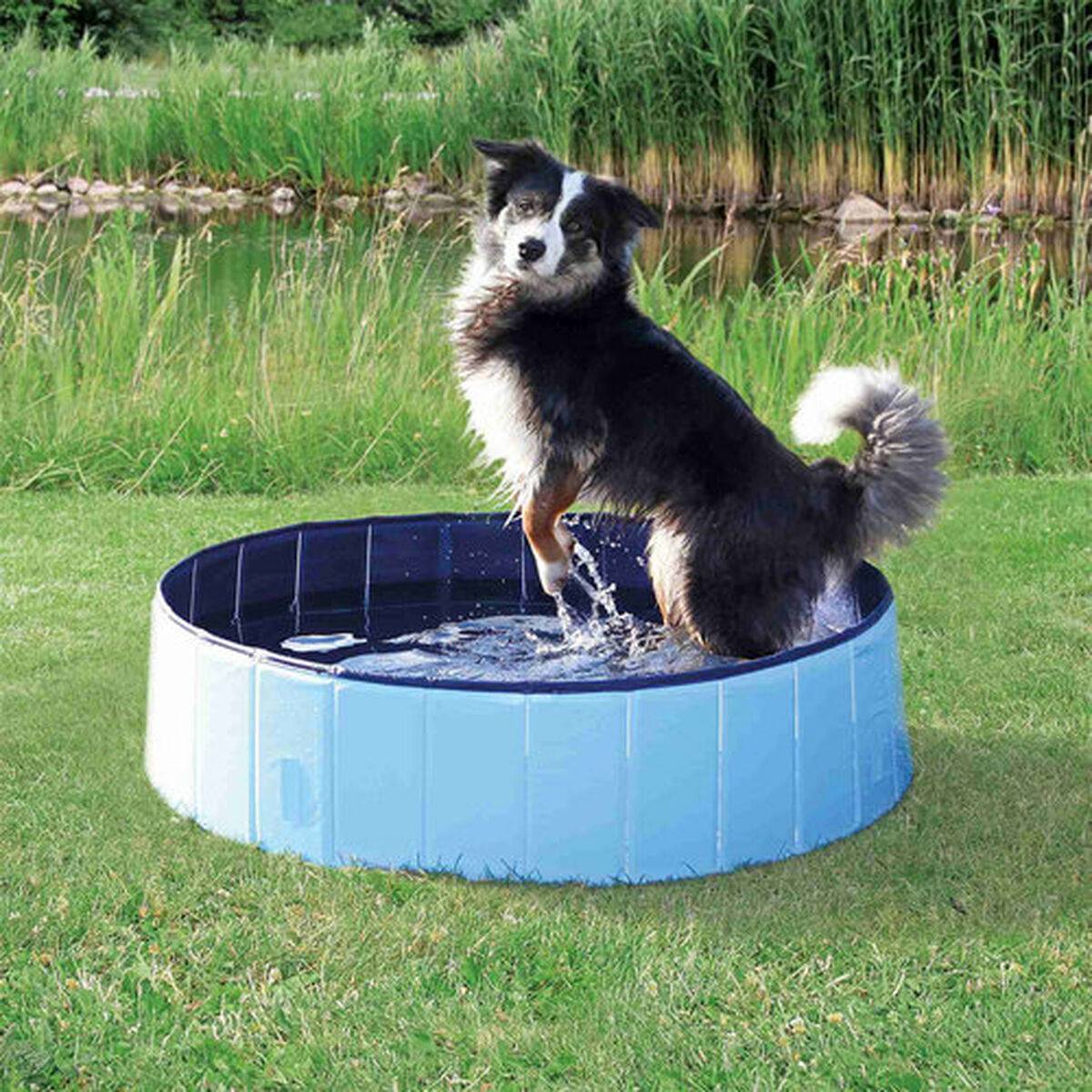 Piscine pour chien plastique bleu foncé Ø 160 × H.30 cm - Trixie - Image 2