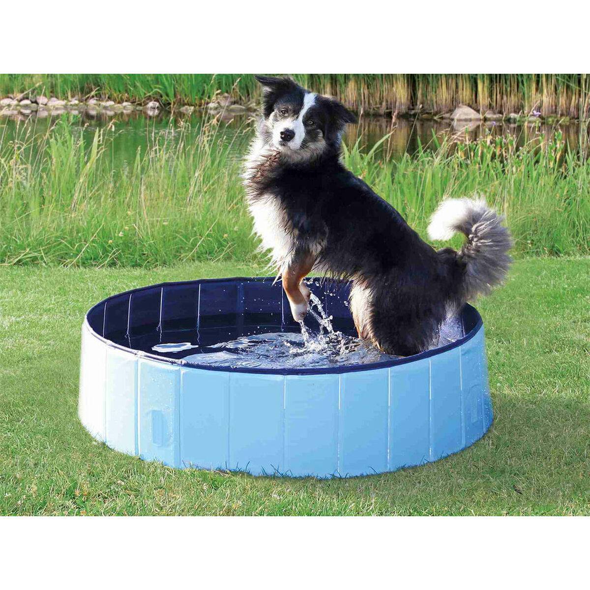 Piscine pour chien plastique bleu foncé Ø 160 × H.30 cm - Trixie - Image 4