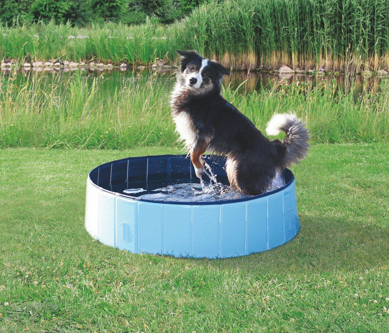 Piscine pour chien plastique bleu clair et bleu Ø80×H.20 cm - Trixie - Imagen 1