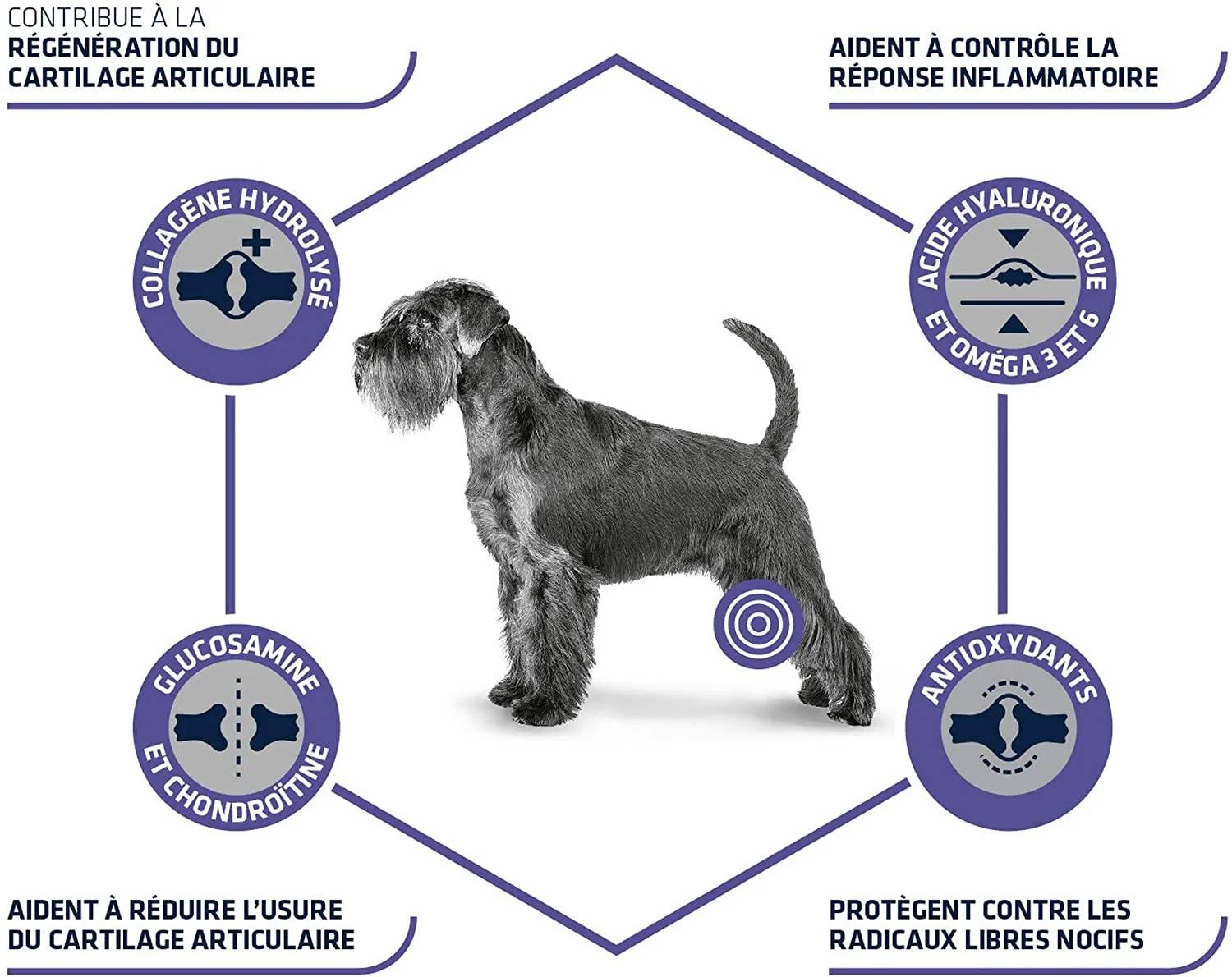 ADVANCE VET CHIEN ARTICULAR CARE REDUCED CALORIE 3kg - Imagen 4