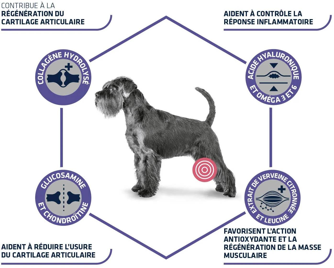 ADVANCE VET CHIEN ARTICULAR CARE + 7 ANS 3kg - Image 1