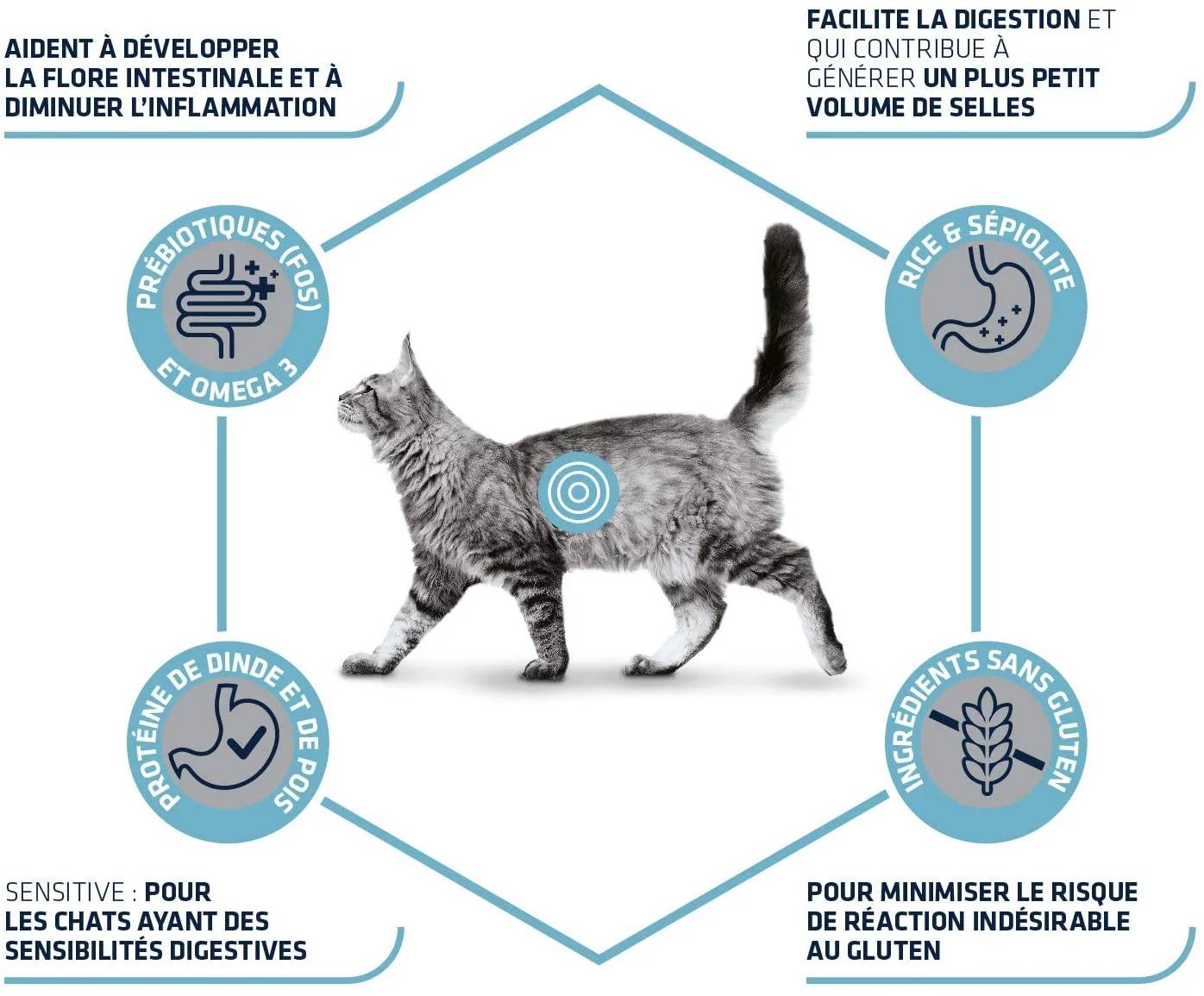 VETERINARY DIETS - GASTROENTERIC SENSITIVE 1,5 Kg - Image 4
