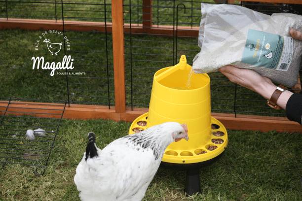 Magalli - Magalli - Grit poules 5 kg - Imagen 3