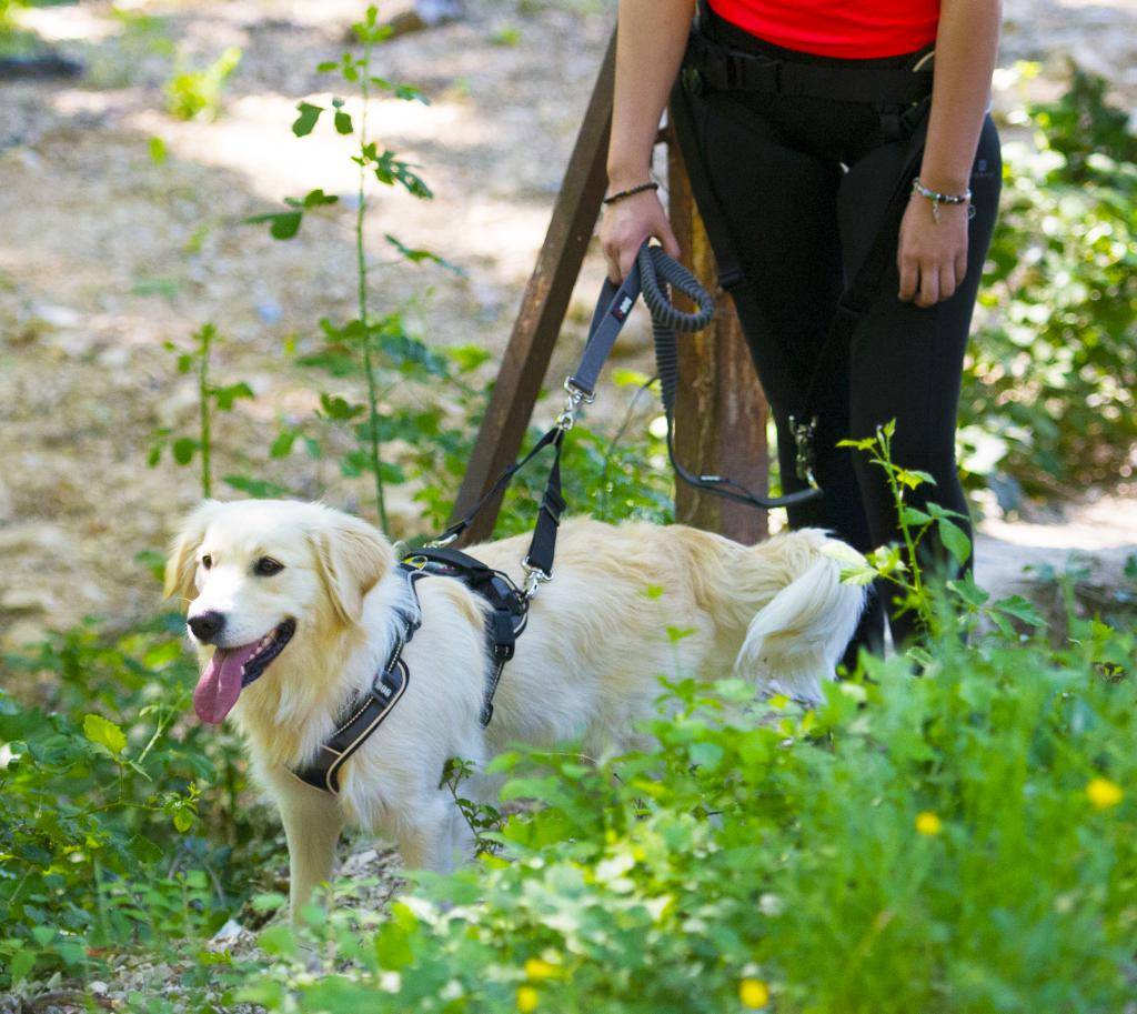 Idog - Harnais Style 3 en 1 - I-DOG - Imagen 9