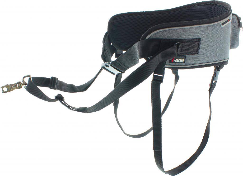 Idog - Baudrier Style – I DOG - Imagen 2