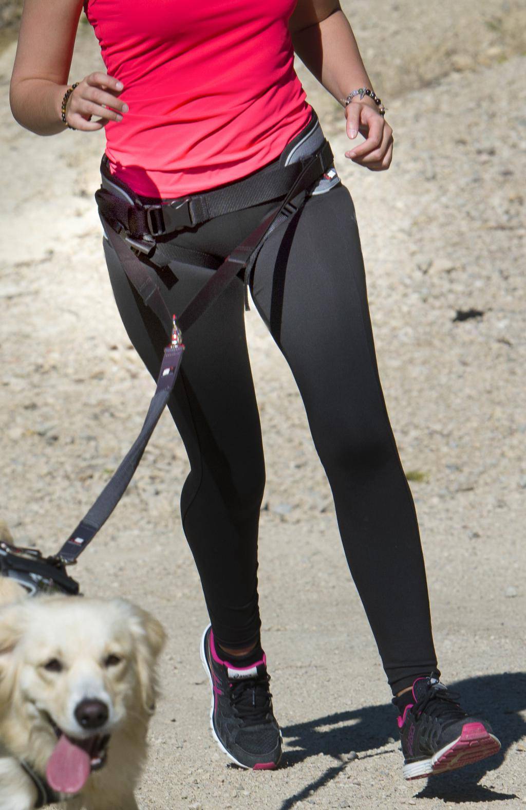 Idog - Baudrier Style – I DOG - Imagen 7