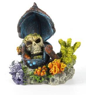 Aqua Della - Décor d'aquarium Stray wood skull - Imagen 1
