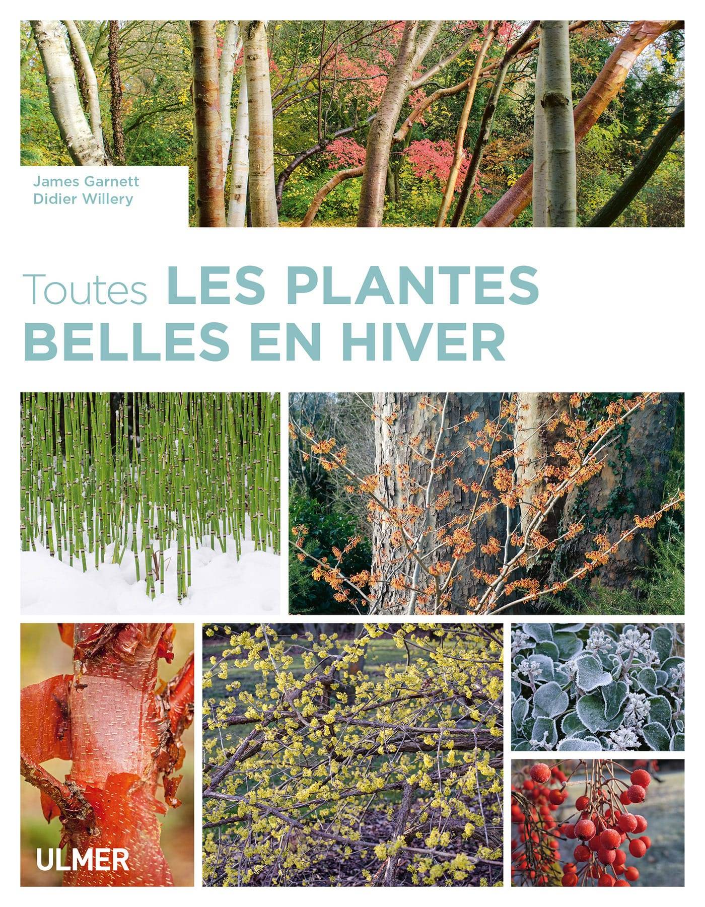 Ulmer - Toutes les plantes belles en hiver - Garnett james