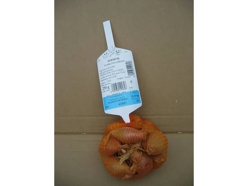 Échalote longue jermor 250g – DISTRI