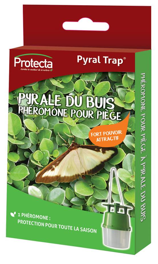 Protecta - Ginko® Buxus Phéromone piège pyrale du buis - Protecta