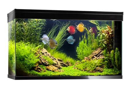 Inwa - Aquarium Confort 197Pro - L.102 x l.40 x H.61 cm